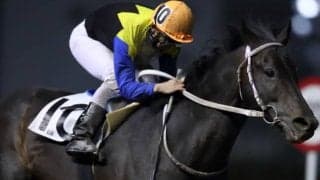 大井・楢崎功祐騎手が引退　通算1216勝