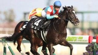 【京都金杯 予想オッズ】武豊シュリが予想1番人気