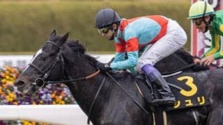 【京都金杯見どころ】シュリの重賞初制覇なるか