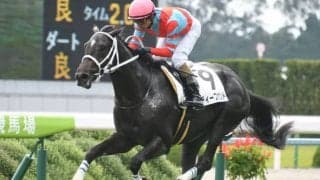 【中山金杯見どころ】明け4歳のディープボンドが重賞2勝目を狙う