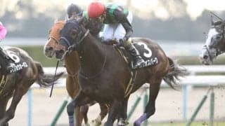 【中山金杯展望】2021年最初のJRA重賞はあの馬に期待したい