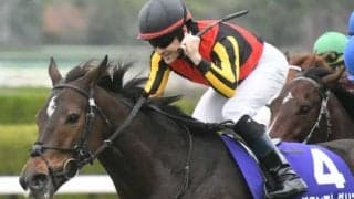 【2020生産者リーディング】ノーザンファームが10年連続の首位　今年はJRA・GIを15勝