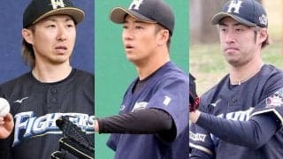金子は先発再転向、右肘故障の斎藤佑は…　日本ハムで復活期待の選手は？