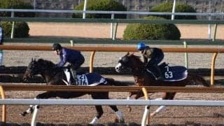 テンハッピーローズ、フェアリーS1週前追い切り速報/栗東トレセンニュース