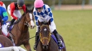 【JRA】スーパーホープが骨折、全治3ヶ月　昨年のデイリー杯2歳Sで3着