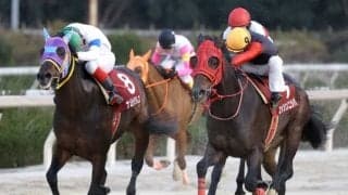 【園田・新春賞結果】エイシンニシパが3連覇達成！