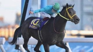 【川崎・報知オールスターC結果】タービランスが三度目の挑戦でV