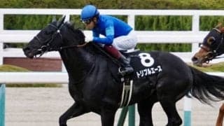 【京都金杯】出走馬の調教後の馬体重