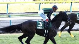 【中山金杯】出走馬の調教後の馬体重