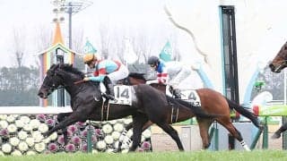 【京都金杯】枠順と見所 武豊シュリは5枠10番