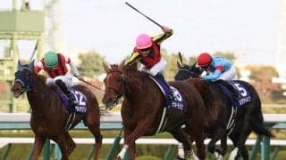 ラッキーライラックが競走馬登録抹消