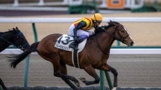 【中京12R】武豊 リレーションシップが人気に応える