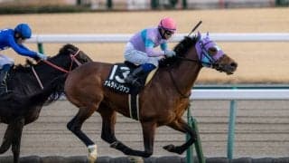 【万葉S】ナムラドノヴァンが格上戦を制する