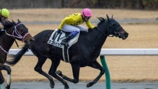 【中京4R】武豊 スコルピウスが人気に応える