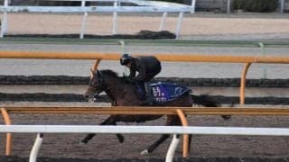 ラウダシオン、シルクロードSに向けて追い切り開始/栗東トレセンニュース