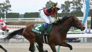 【京都金杯】売上は61億7664万7300円で昨年から減少