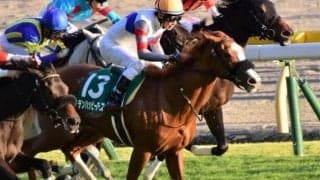 【フェアリーS見どころ】テンハッピーローズが人気の中心か