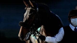 【シンザン記念見どころ】牝馬ククナの重賞初制覇なるか