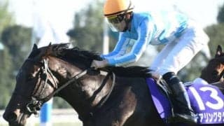 【競馬ファンが選ぶ最優秀3歳牝馬】無敗牝馬三冠デアリングタクトが圧倒的首位/netkeiba大賞 中間発表