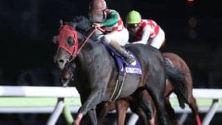 【競馬ファンが選ぶ最優秀地方馬】JBCスプリント覇者サブノジュニアがトップ/netkeiba大賞 中間発表