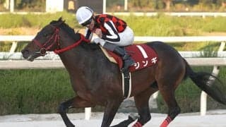 【地方競馬】昨年の園田年度代表馬はジンギ、最優秀3歳馬はステラモナーク