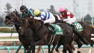 【中山金杯】ヒシイグアスが重賞初制覇