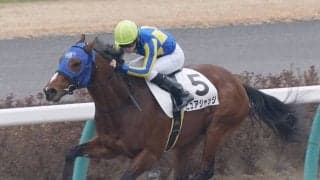 【新馬/中山3R】ピュアジャッジが人気に応えてデビューV