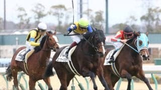 【新馬/中京5R】エアサージュが人気に応える 半兄はエアアルマス