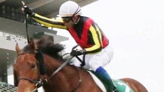 【京都金杯】岩田康「狙ったレースでした」ケイデンスコールが復活V