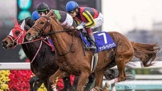 【先週のJRA抹消馬】ラッキーライラック、ノームコア、ゴールドドリームなど重賞勝ち馬6頭