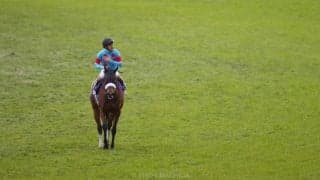 「2020年度JRA賞」決定！年度代表馬はアーモンドアイ！