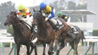 【次走】ホープフルS3着ヨーホーレイクは武豊騎手ときさらぎ賞へ