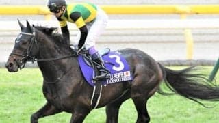 有馬5着のワールドプレミアは天皇賞・春を目標に