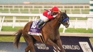 【海外競馬】ムーチョグストが軟部組織損傷により引退、昨年の米G1・ペガサスWC覇者