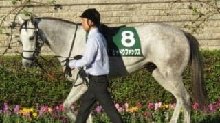【フェアリーS展望】混戦の3歳牝馬限定戦、好走の条件とは