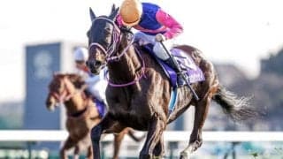 【競馬ファンが選ぶ最優秀障害馬】中山大障害Vのメイショウダッサイがトップ/netkeiba大賞 中間発表