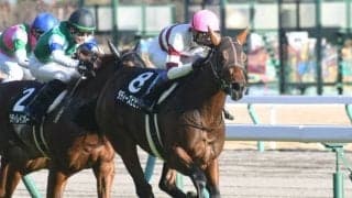 【シンザン記念展望】新春の出世レース、あの馬に期待したい