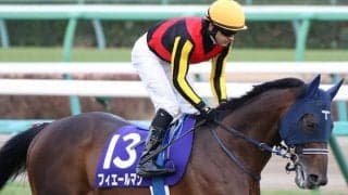 【JRA】GI・3勝馬フィエールマンが繋靱帯炎で引退、ブリーダーズSSで種牡馬に
