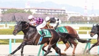 スマートオーディンが競走馬登録抹消