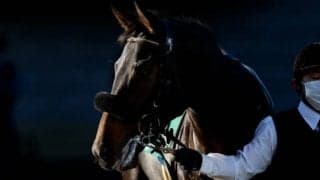 【シンザン記念予想】良血ククナに期待