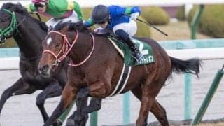 【本日の注目ポイント】中京開催の出世レース・シンザン記念