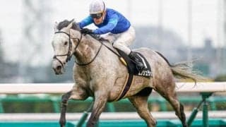 【JRA】落馬の五十嵐雄祐騎手は右鎖骨々折の診断、エンシュラウドは予後不良
