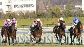 【淀短距離S】枠内駐立不良のアイラブテーラーは発走調教再審査、岩田康誠騎手は過怠金1万円