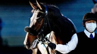 【シンザン記念前日オッズ】ククナが2.1倍で1番人気