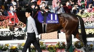 【次走】ラヴズオンリーユーは川田将雅騎手との新コンビで京都記念へ