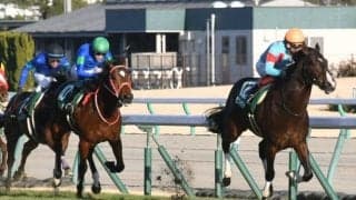 【JRA・WIN5】今週1回目のWIN5は的中348票、配当146万4170円