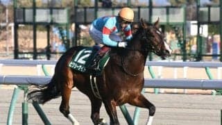 【シンザン記念結果】ピクシーナイトが逃げ切り、モーリス産駒重賞初V