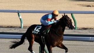 【シンザン記念】ピクシーナイトが逃げ切りV！福永祐一騎手はJRA2400勝達成