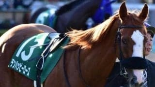 【フェアリーS前日オッズ】テンハッピーローズが3.6倍で1番人気