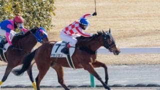 【中京3R】ハーツクライ産駒 チカリヨンが初勝利